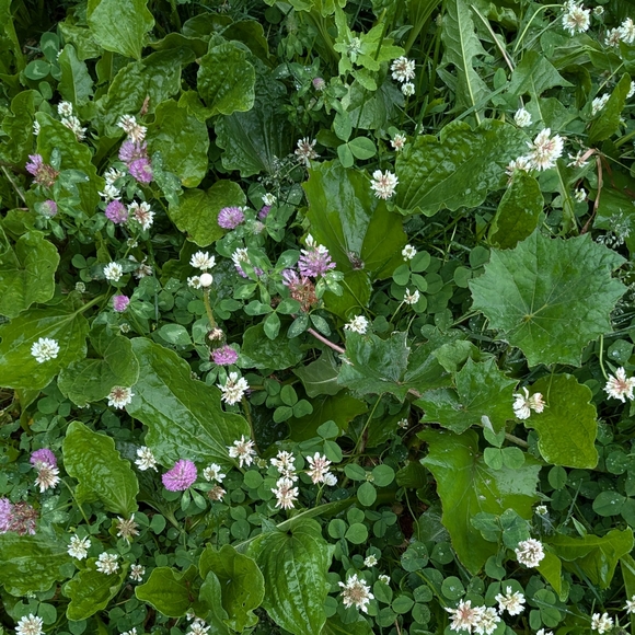 Meet your Posher, Caitriona - Picture 1 of 1